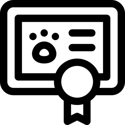 diploma_3670779 (1)